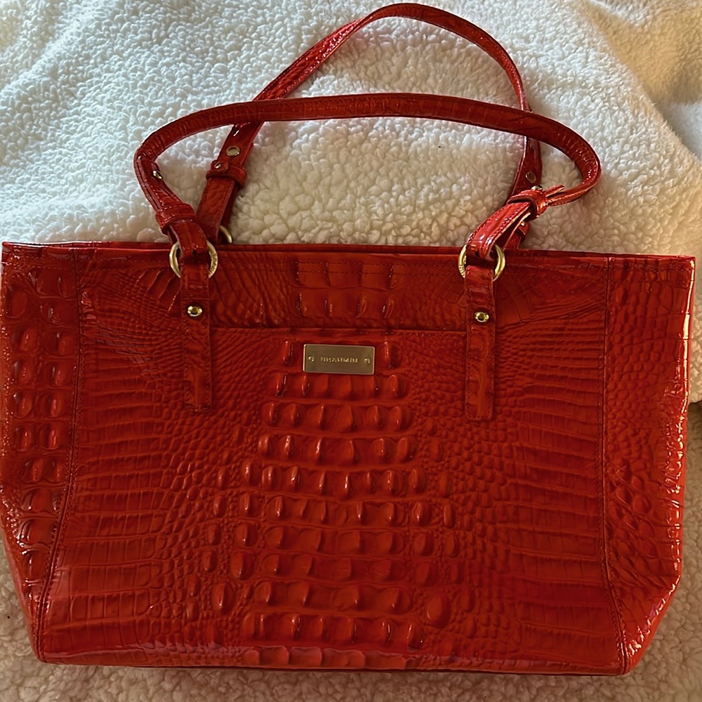 Brahmin Alligator Leather Purse